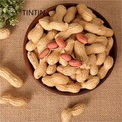 Висококачествен 100% натурален фъстък с черупки