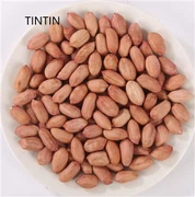 Висококачествен китайски доставчик на фъстъчени ядки